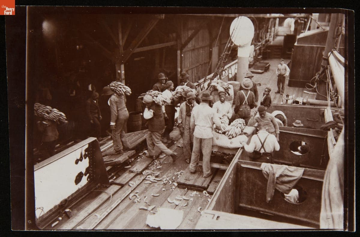 Unloading Bananas, Mobile, Alabama, circa 1906