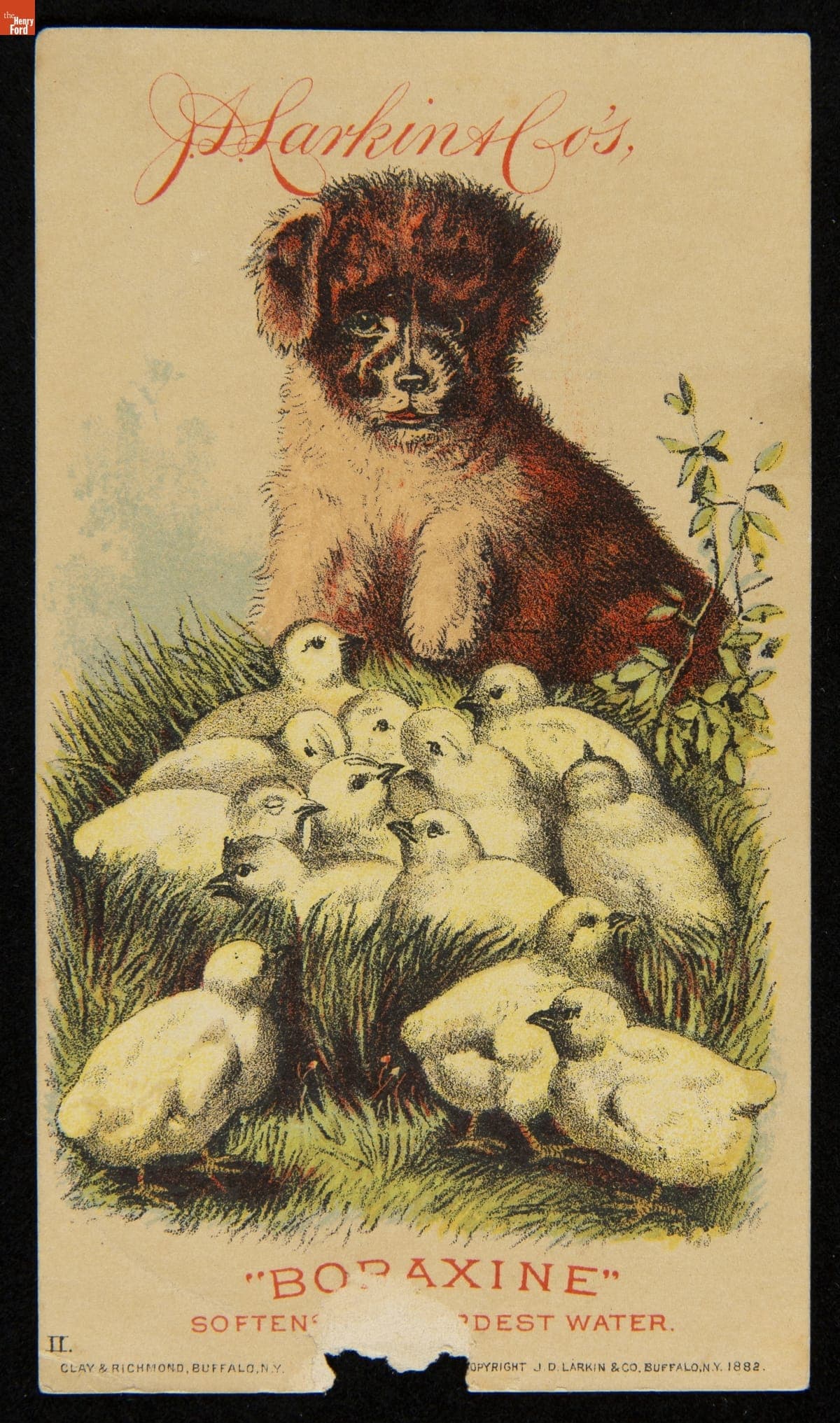 Trade Card for "Boraxine" Soap, J.D. Larkin & Co., 1882