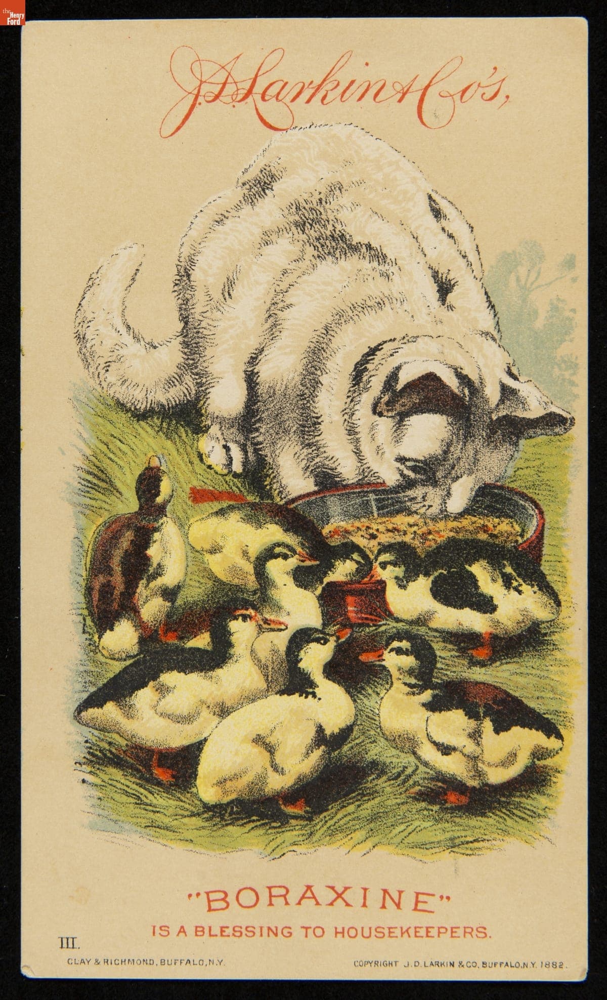 Trade Card for "Boraxine" Soap, J.D. Larkin & Co., 1882