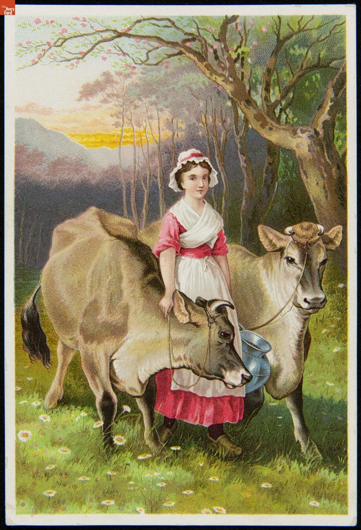Trade Card for Dr. Jayne's Patent Medicines, "The Jerseys," 1880-1900