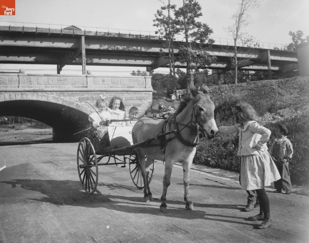 Shore Road, Children with Donkey Cart, 1890-1915