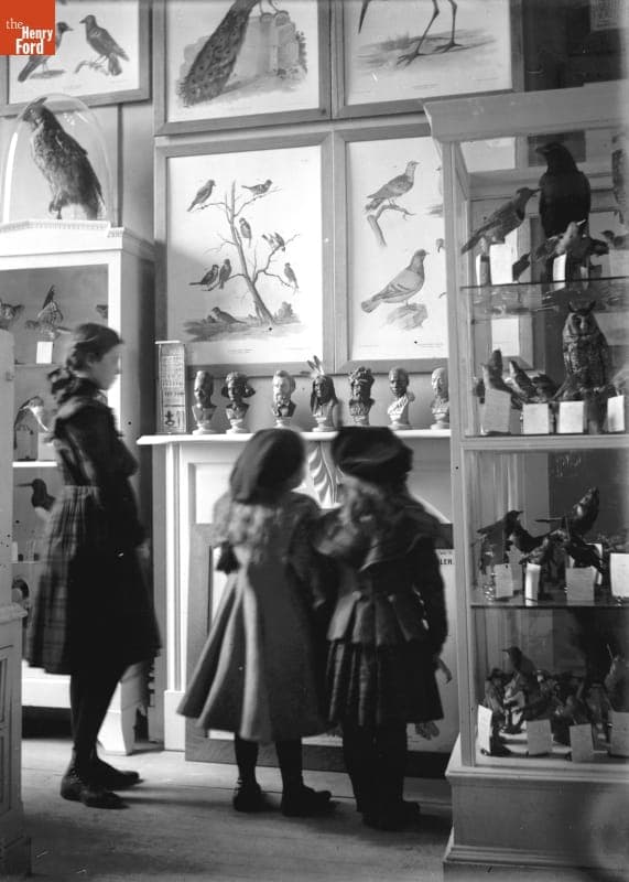 Children's Museum, Group in Bird Room, 1890-1915