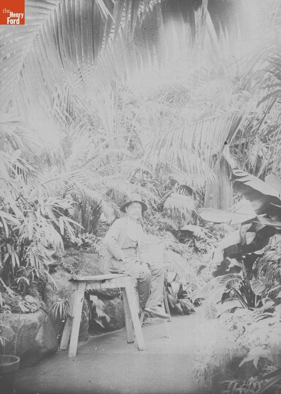 Prospect Park, in Palm House, 1890-1915