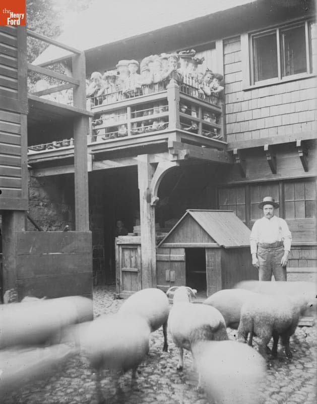 Prospect Park, Children Watching Sheep, 1890-1915