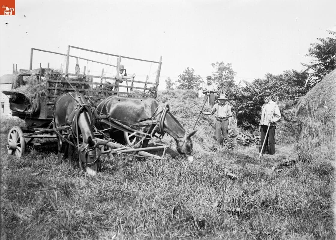 Farm Scene, Wagon and Train, Men Haying, 1890-1915