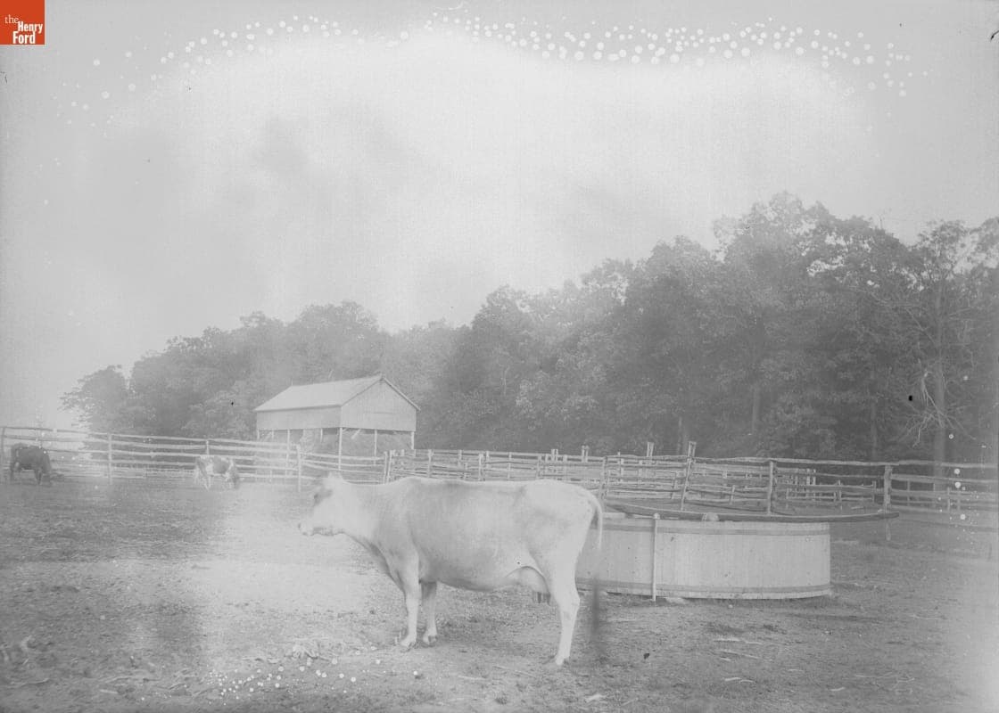 Roslyn, Bull, 1890-1915