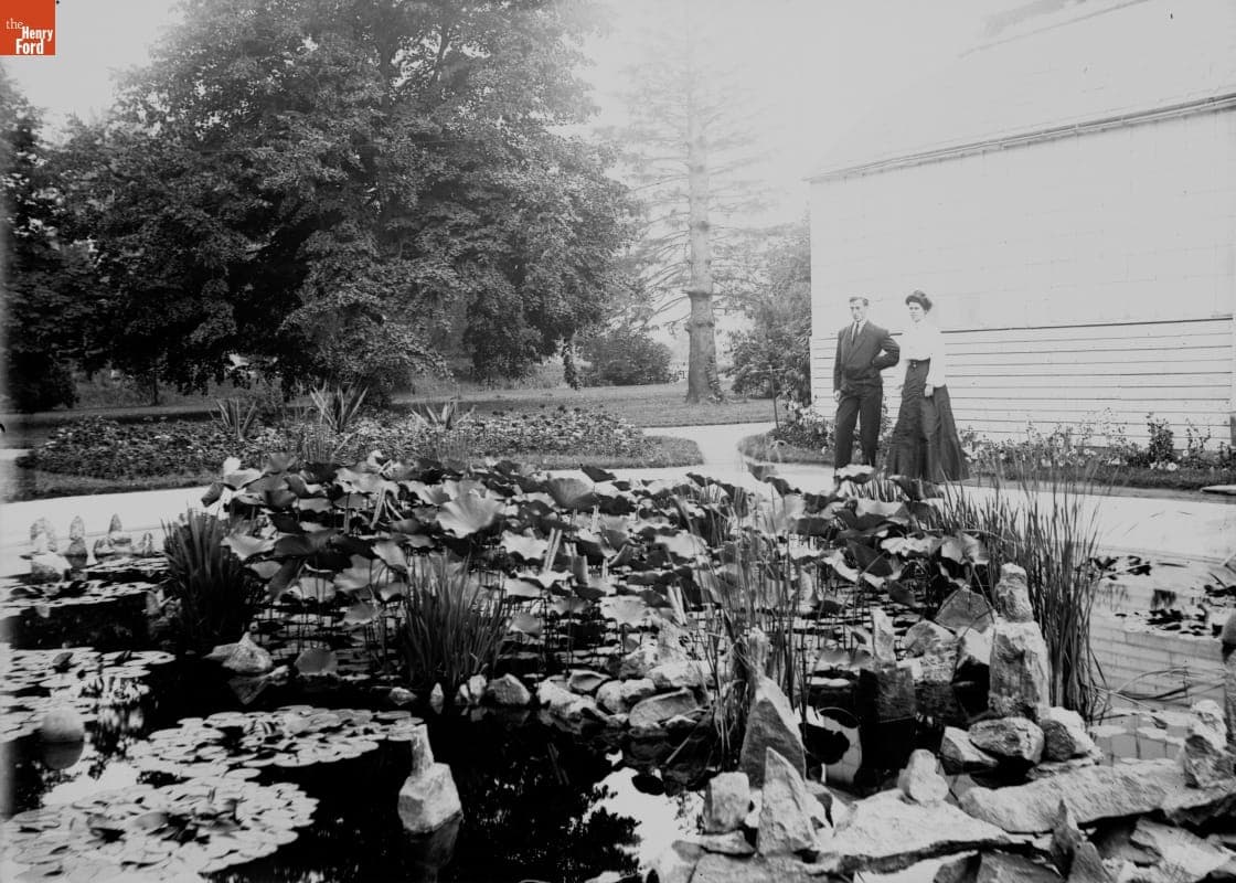 Schlegel Orchids, Lily Land, 1890-1915