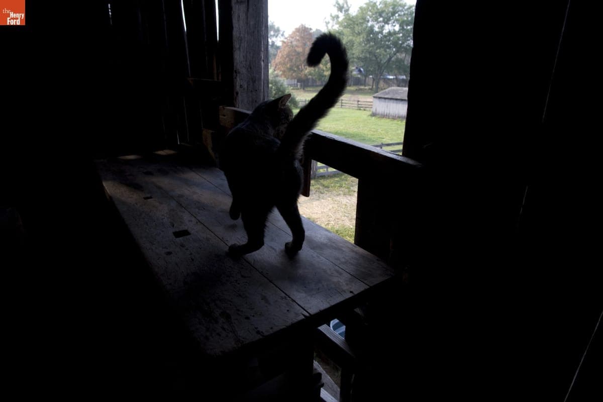 Firestone Farm in Greenfield Village, September 2007
