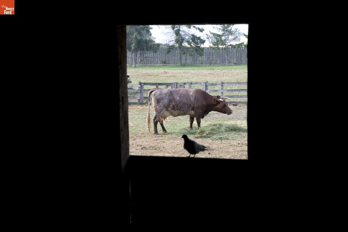 Firestone Farm in Greenfield Village, September 2007