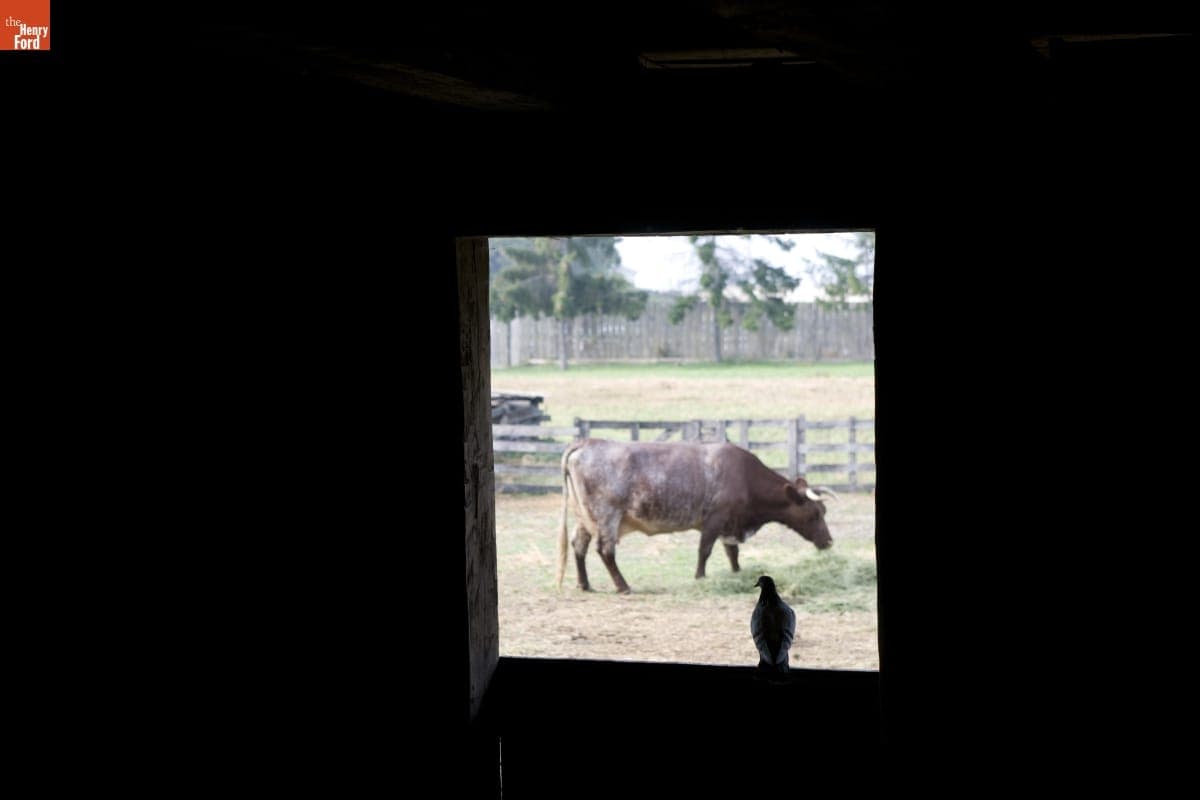 Firestone Farm in Greenfield Village, September 2007