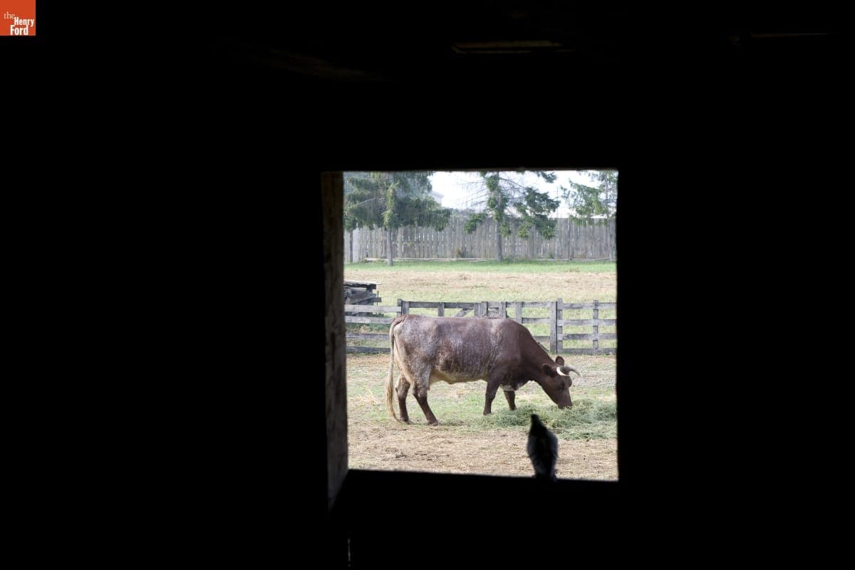 Firestone Farm in Greenfield Village, September 2007