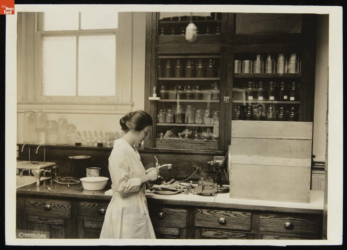 Woman Working with a Drying Box in the Office of Home Economics, U.S. Department of Agriculture, January 1920