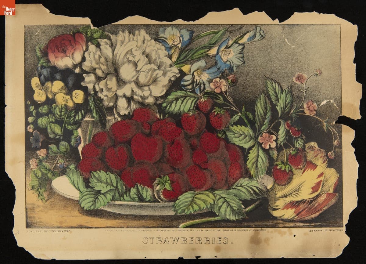 Lithograph, "Strawberries," by Currier & Ives, 1870