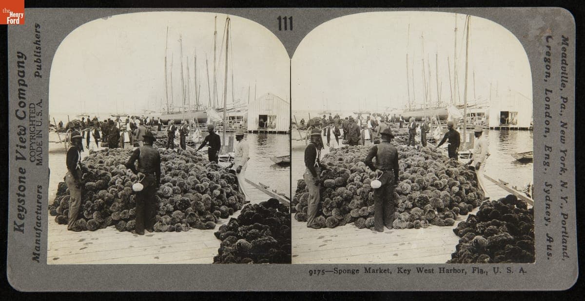 Sponge Market, Key West Harbor, Fla., U.S.A., 1898