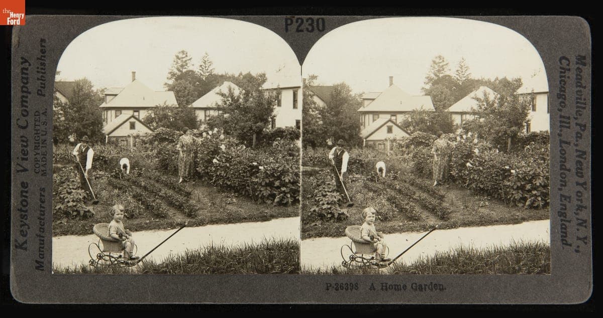 A Home Garden, 1920-1929