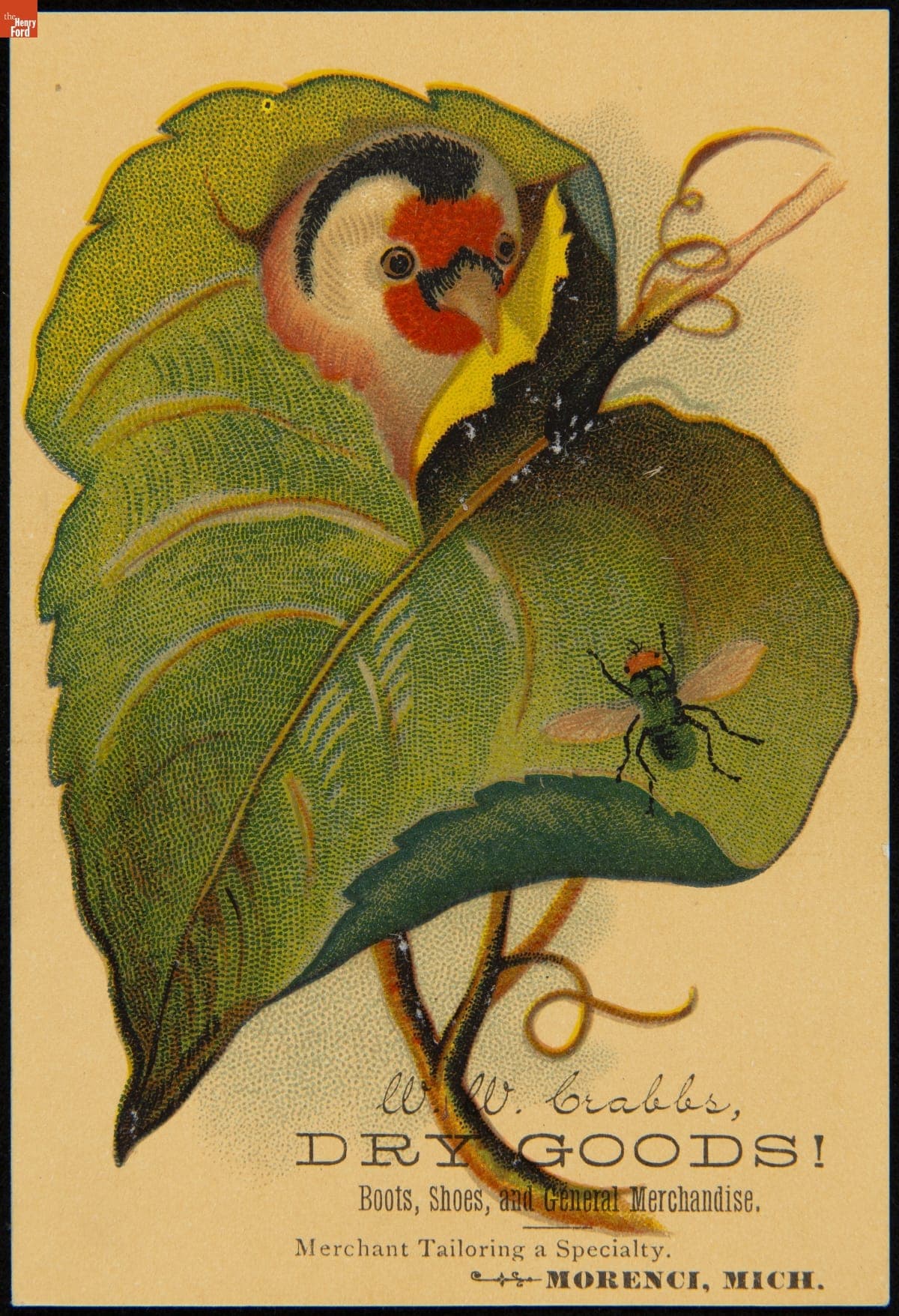 Trade Card for Dry Goods, W.W. Crabbs, 1880-1900