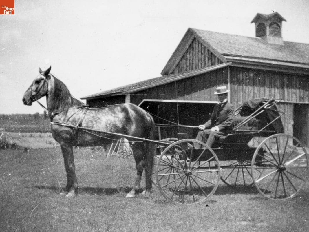 Man Seated in a Buggy, circa 1890