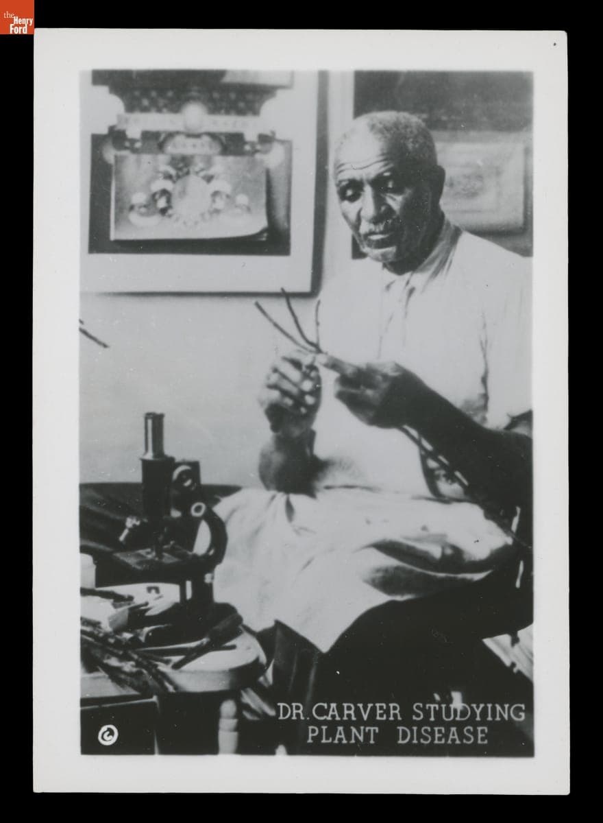 George Washington Carver in His Laboratory at Tuskegee Institute, "Dr. Carver Studying Plant Disease," 1925-1935