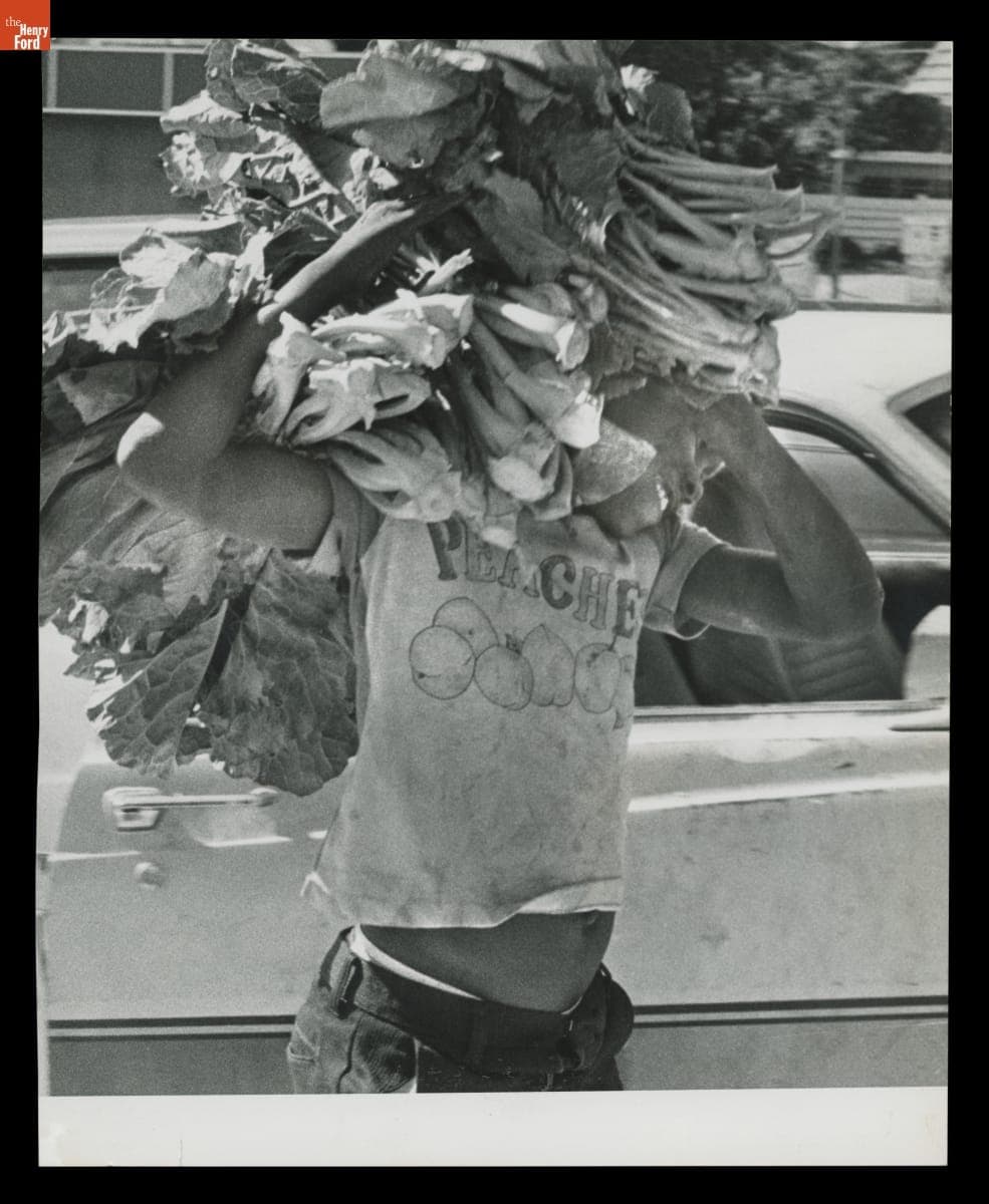 Charles Davis, Age 13, Carrying Collard Greens at Coconut Grove Organic Market, Miami, Florida, August 1979