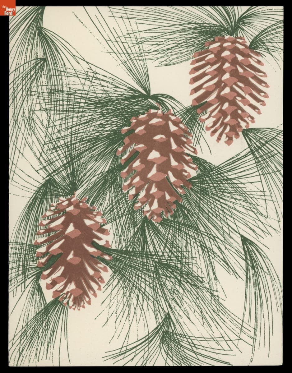 Evergreen Branches and Pine Cones, 1949