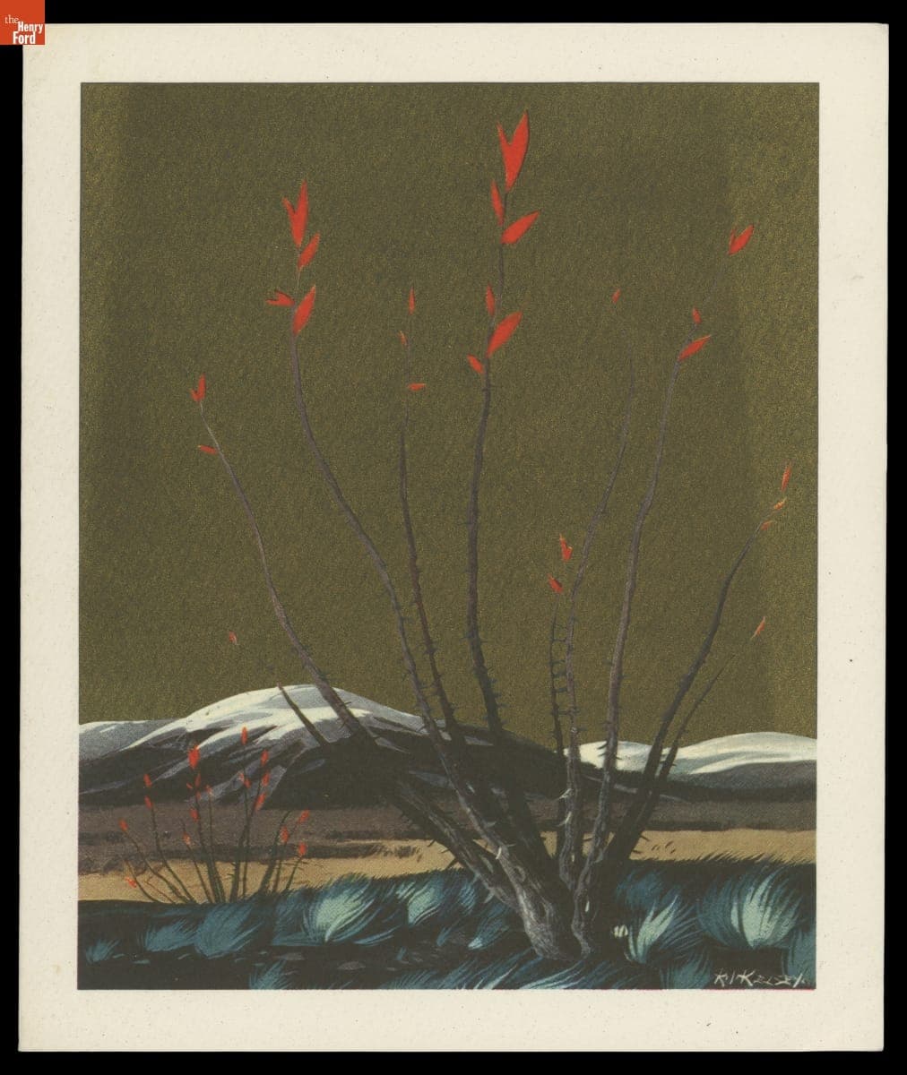 Candlewood Tree, 1952