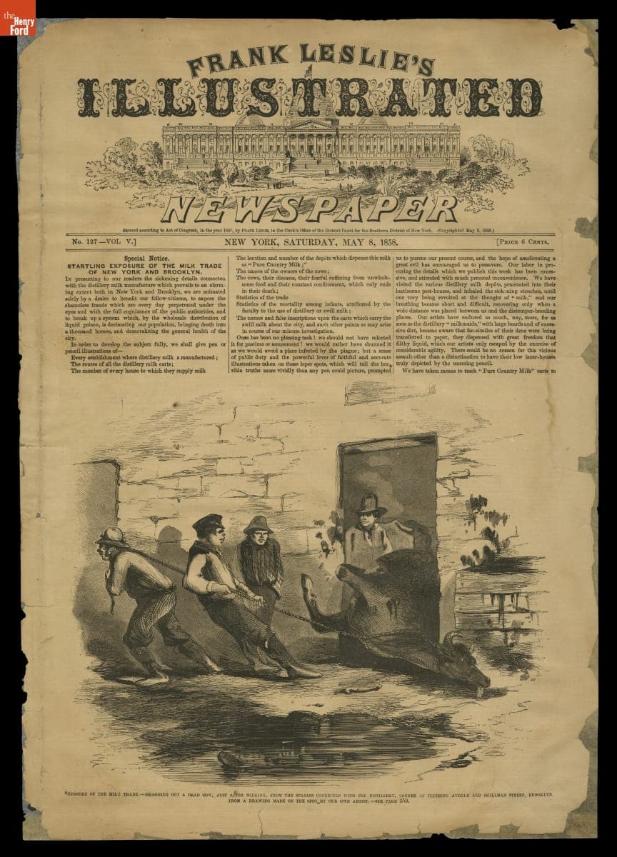"Dragging Out a Dead Cow, Just after Milking," from Frank Leslie's Illustrated Newspaper, May 8, 1858