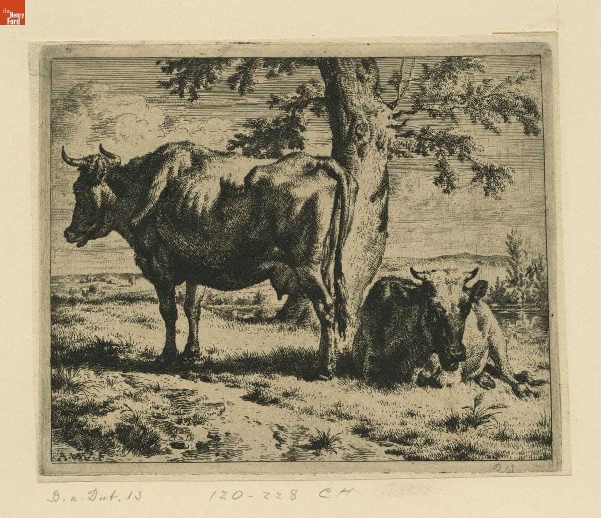 Etching, Two Cows under a Tree