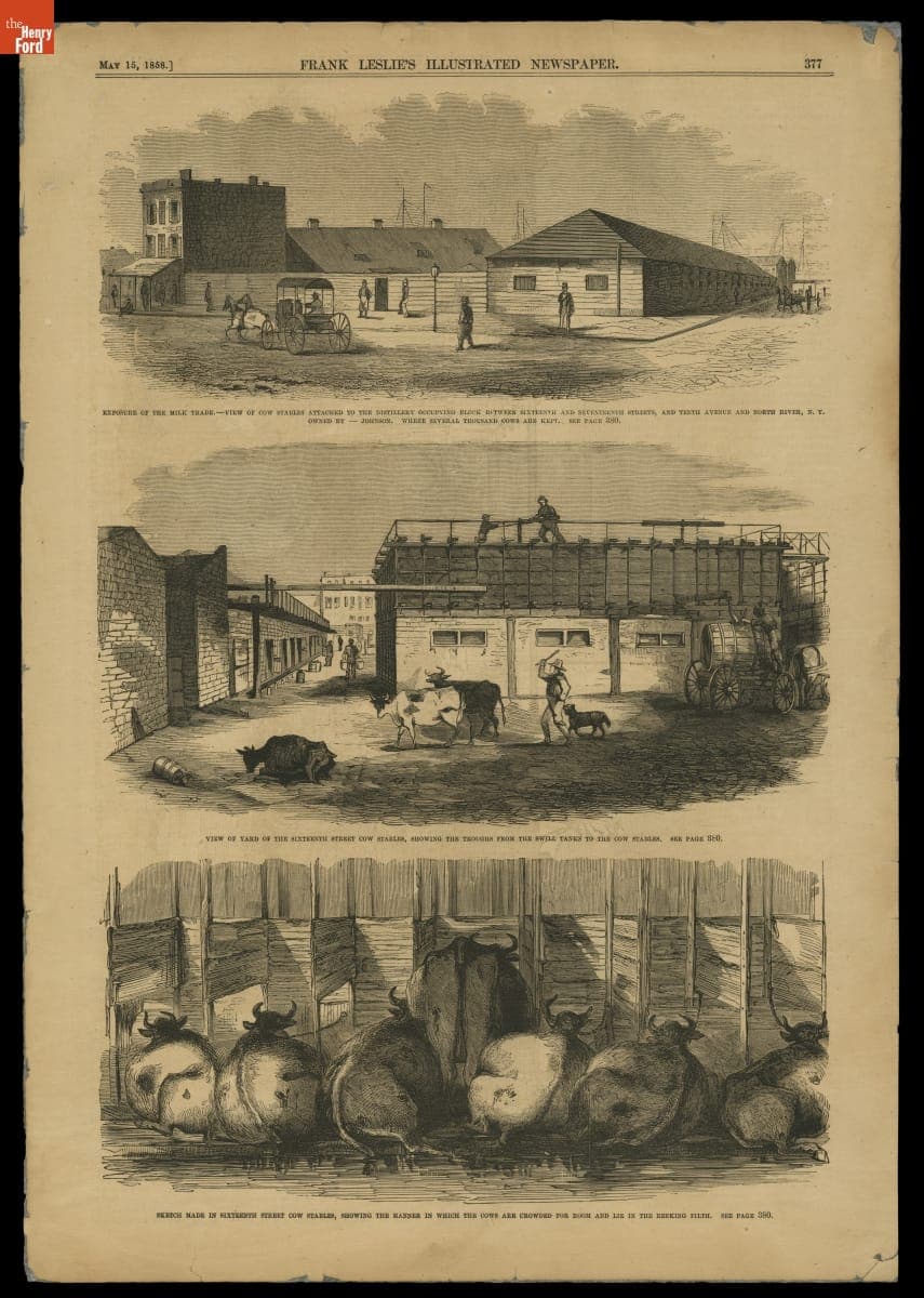 "View of Cow Stables Attached to the Distillery" from Frank Leslie's Illustrated Newspaper, May 15, 1858