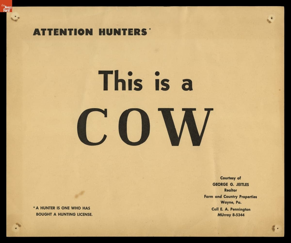 "Attention Hunters, This is a COW"