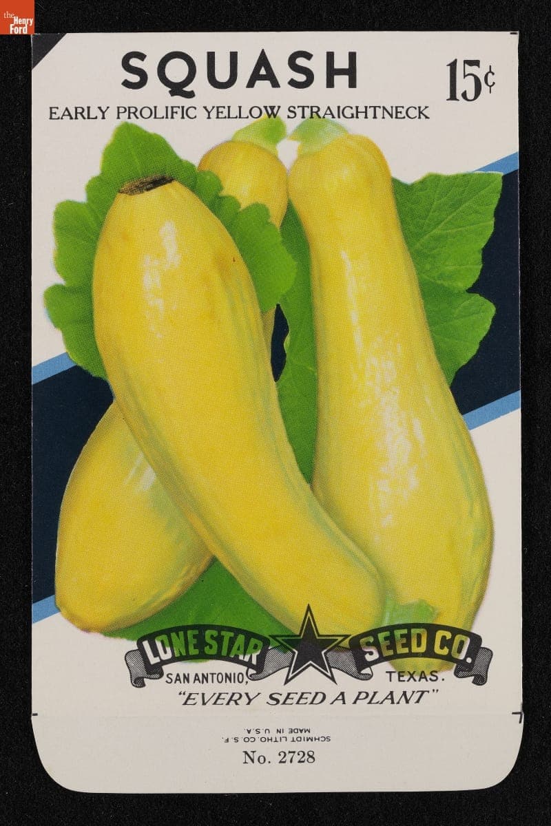 Lone Star Seed Co. "Squash: Early Prolific Yellow Straightneck" Seed Packet, 1972