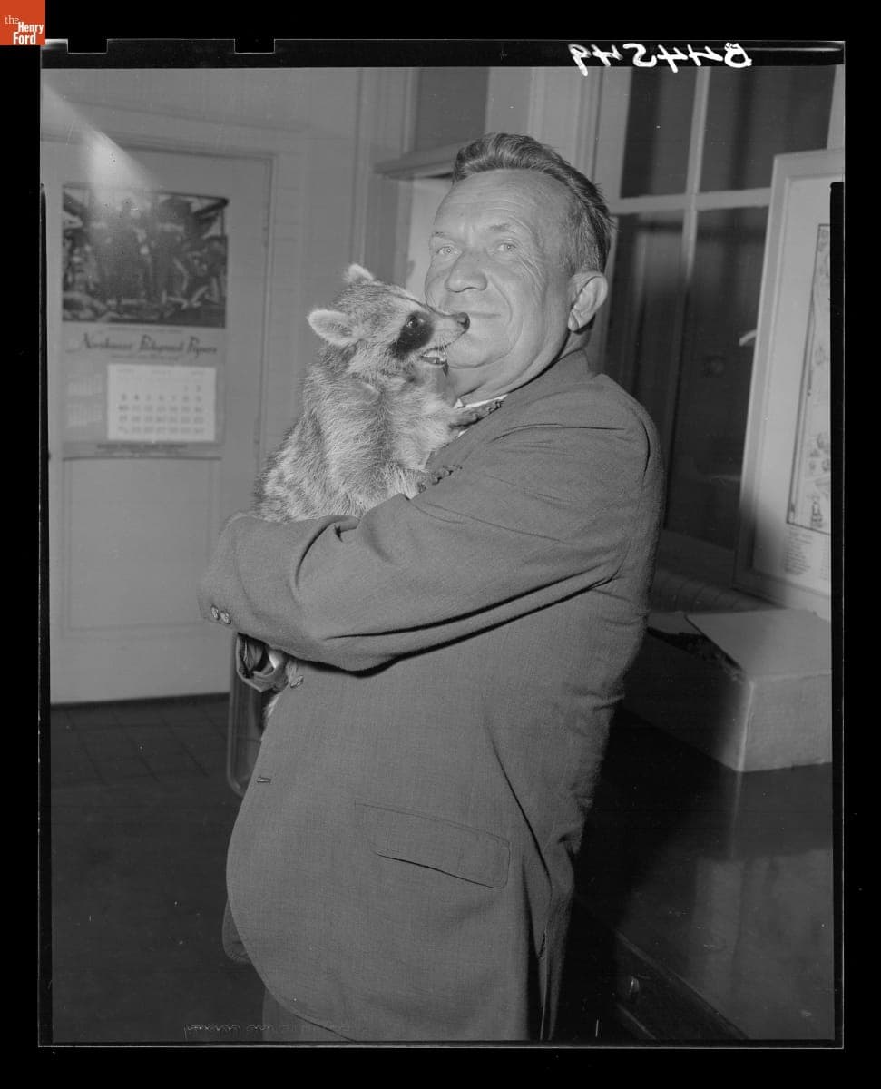 Gus Munchow Holding a Raccoon, July 1966