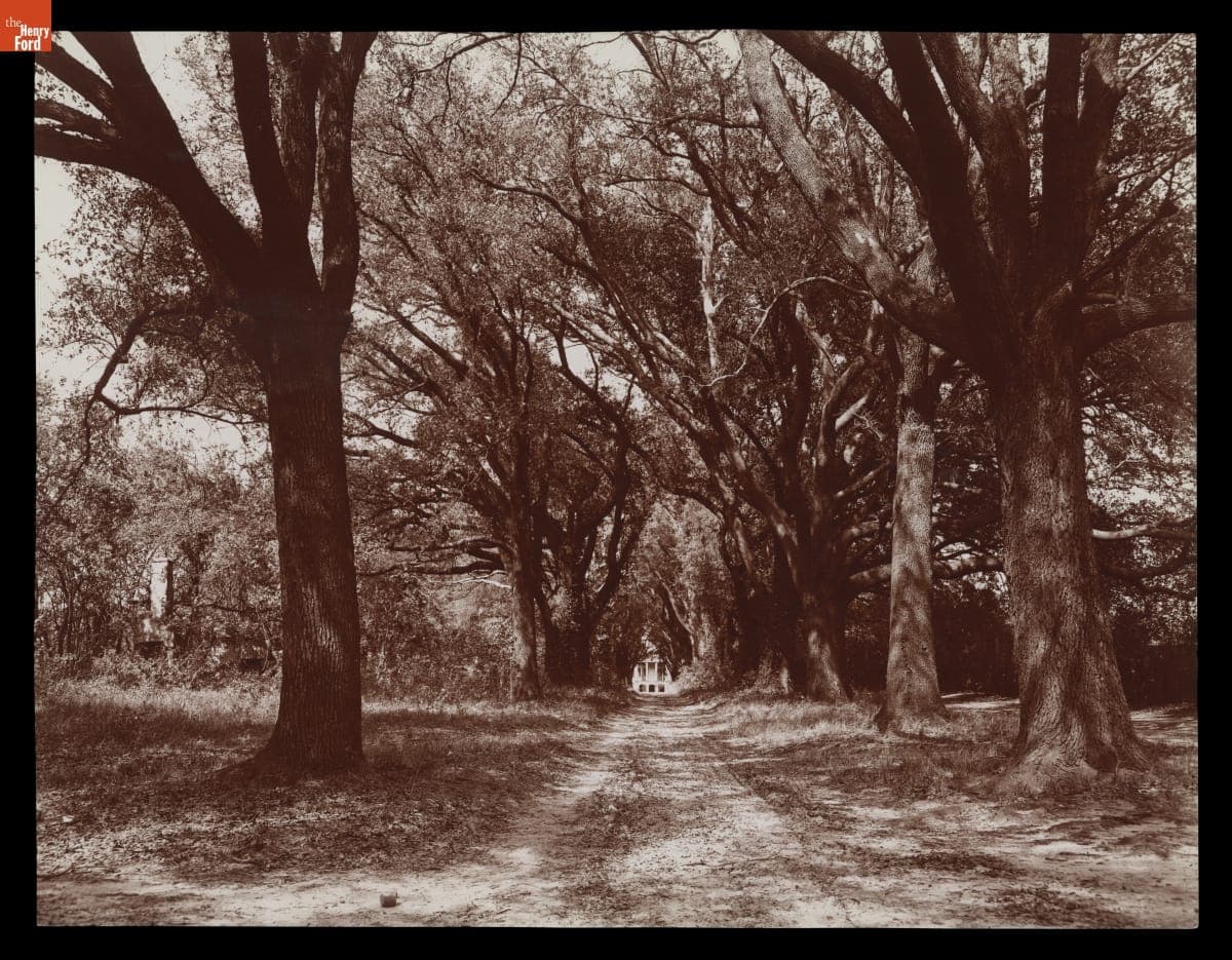 The Hermitage, Oak Avenue, Savannah, Georgia
