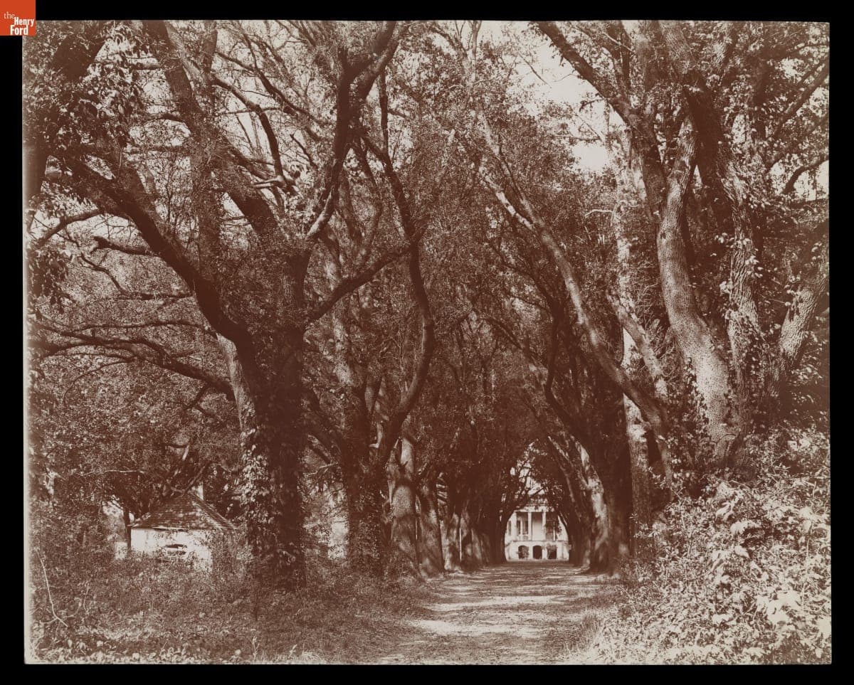 The Hermitage, Oak Avenue, Savannah, Georgia