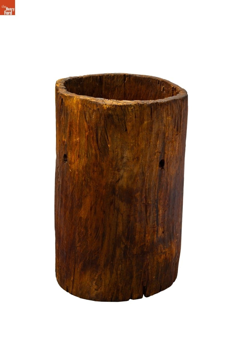 Beehive Created from a Hollow Log