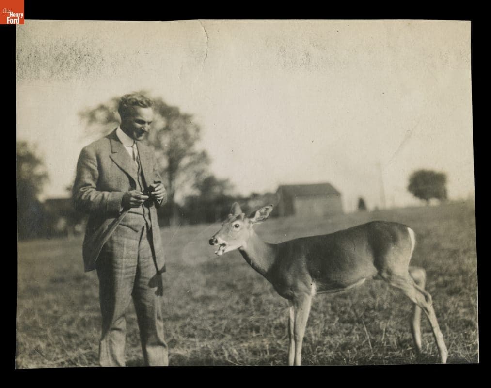 Henry Ford Feeding Deer, circa 1912