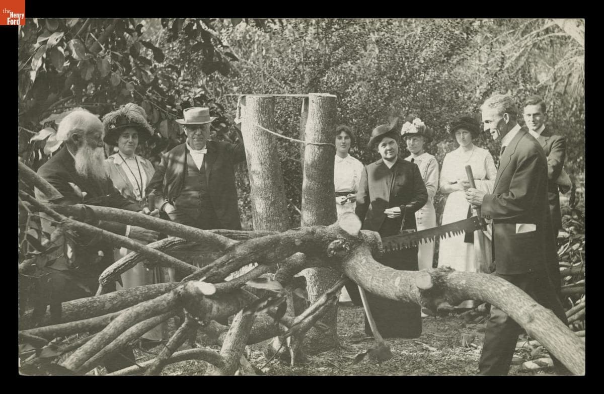 John Burroughs and Henry Ford Sawing Down a Tree, Fort Myers, Florida, 1914
