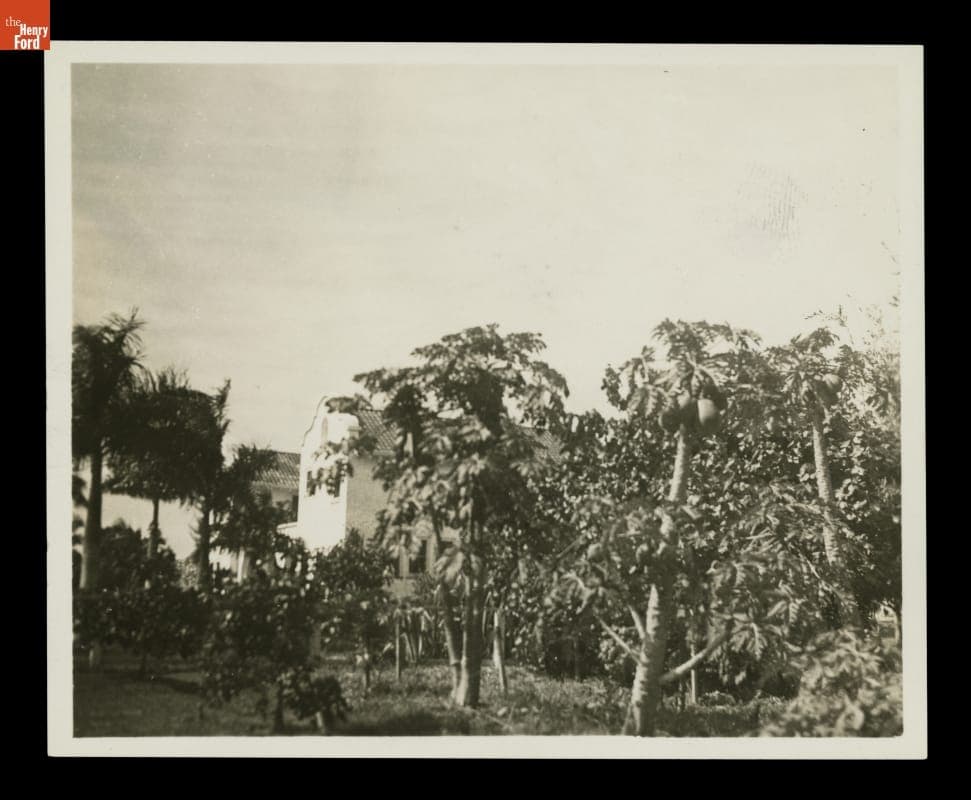 Grounds of "The Mangoes," Winter Estate of Henry and Clara Ford, circa 1925