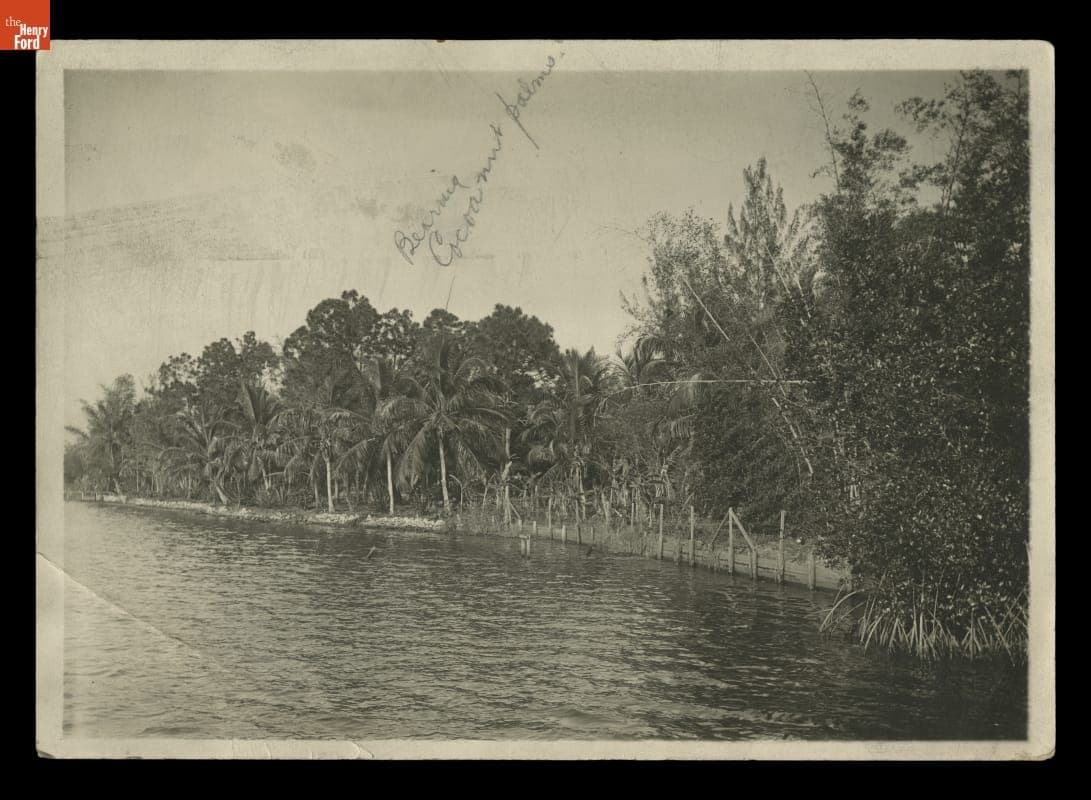 Grounds of "The Mangoes," Winter Estate of Henry and Clara Ford, circa 1920