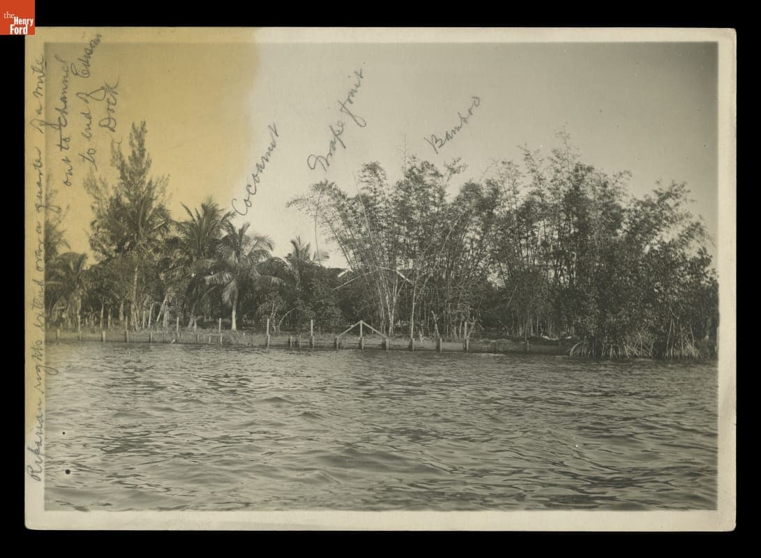 View from the Caloosahatchee River at "The Mangoes," Winter Retreat of Henry and Clara Ford, circa 1920
