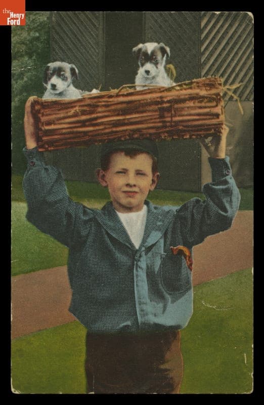 Postcard, Boy Holding a Basket with Two Puppies, circa 1908