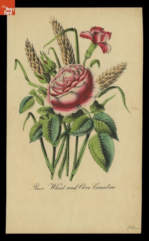 Lithograph, "Rose, Wheat and Clove-Carnation," circa 1890