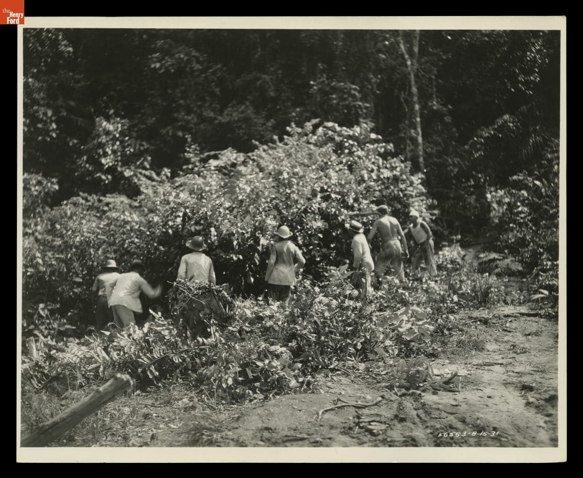 Workers Clearing Jungle, Fordlandia, Brazil, August 1931