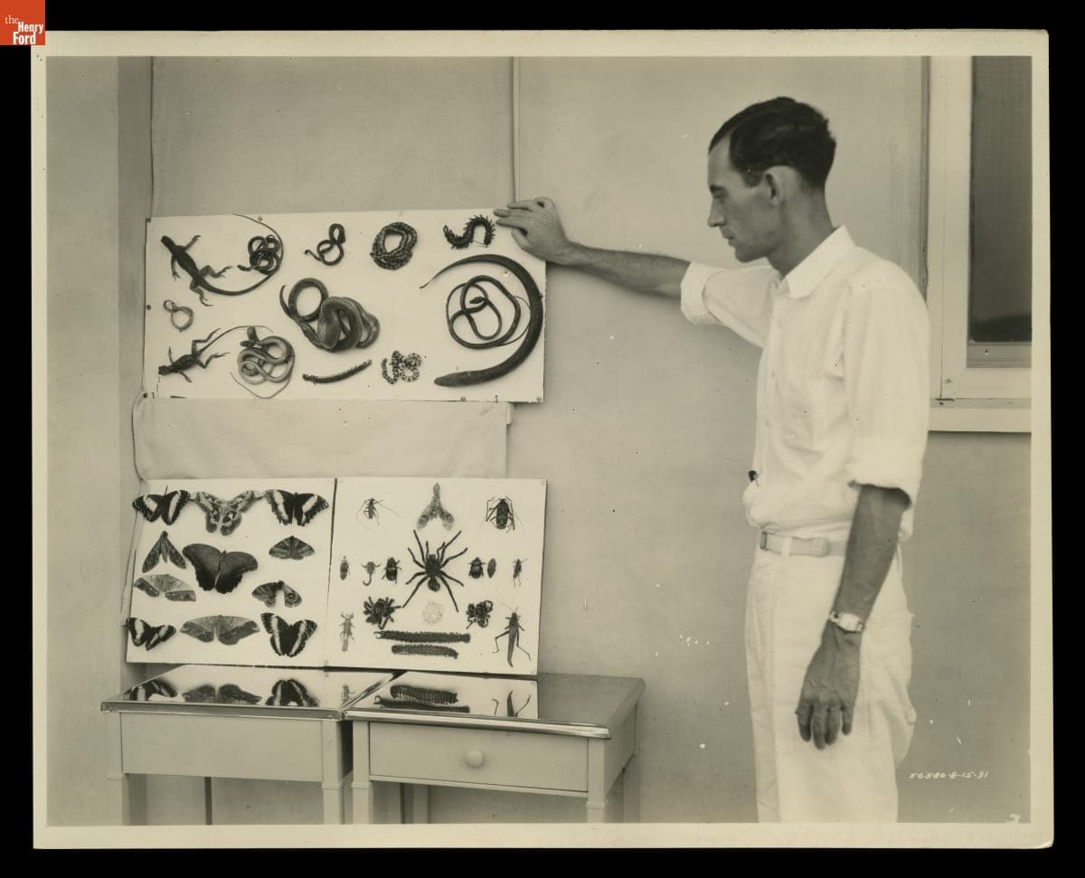 Dr. Claude R. Smith with Collection of Jungle Fauna, Fordlandia, 1931