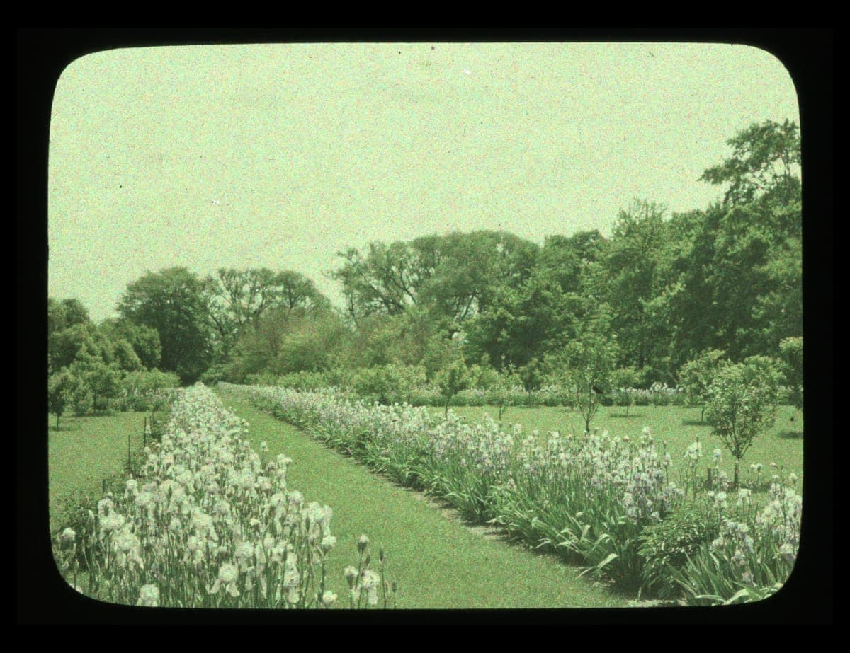 Garden at Fair Lane Estate, Dearborn, Michigan, June 1933