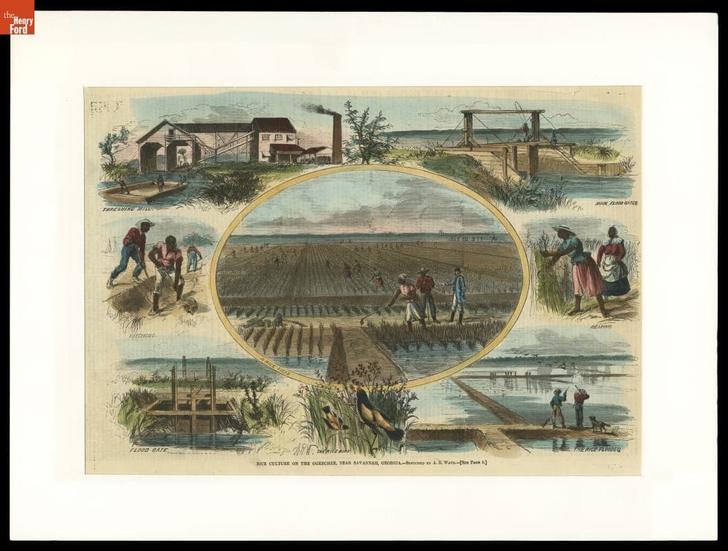 Wood Engraving, "Rice Culture on the Ogeechee, near Savannah, Georgia," 1867