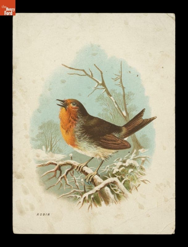 Lithograph, "Robin," circa 1890