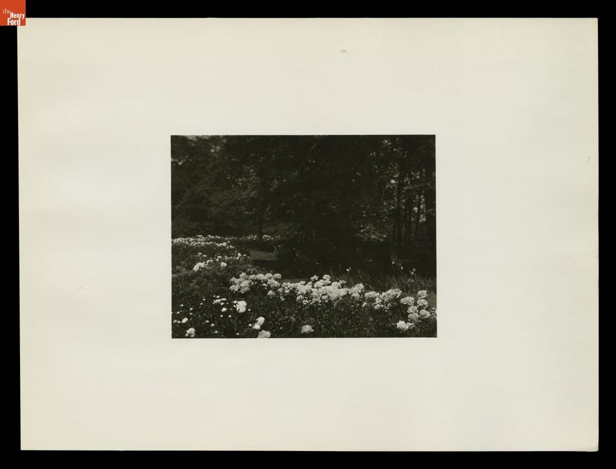 Peony Garden at Fair Lane Estate, Dearborn, Michigan, June 1932