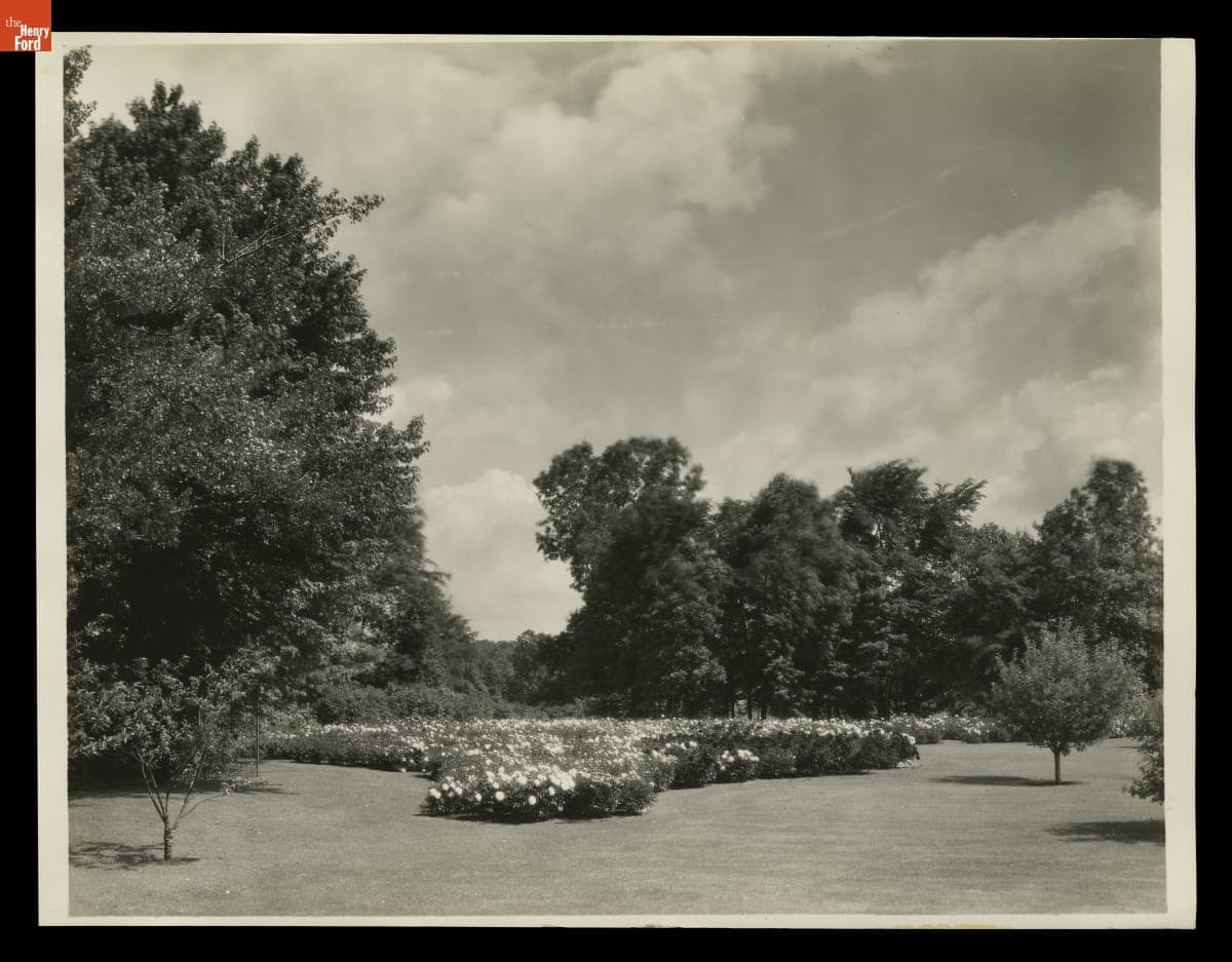 Peony Garden at Fair Lane Estate, Dearborn, Michigan, June 1930