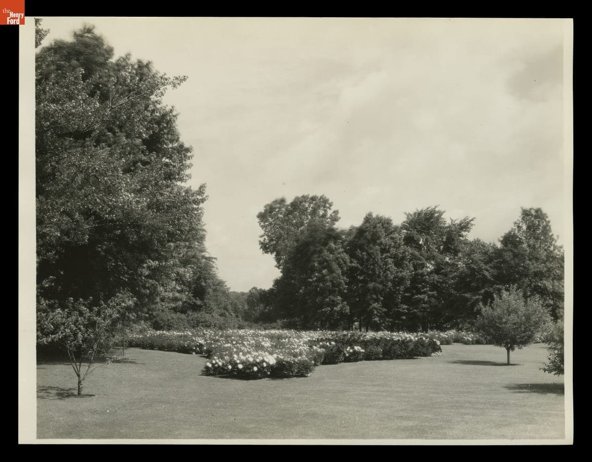 Peony Garden at Fair Lane Estate, Dearborn, Michigan, June 1930