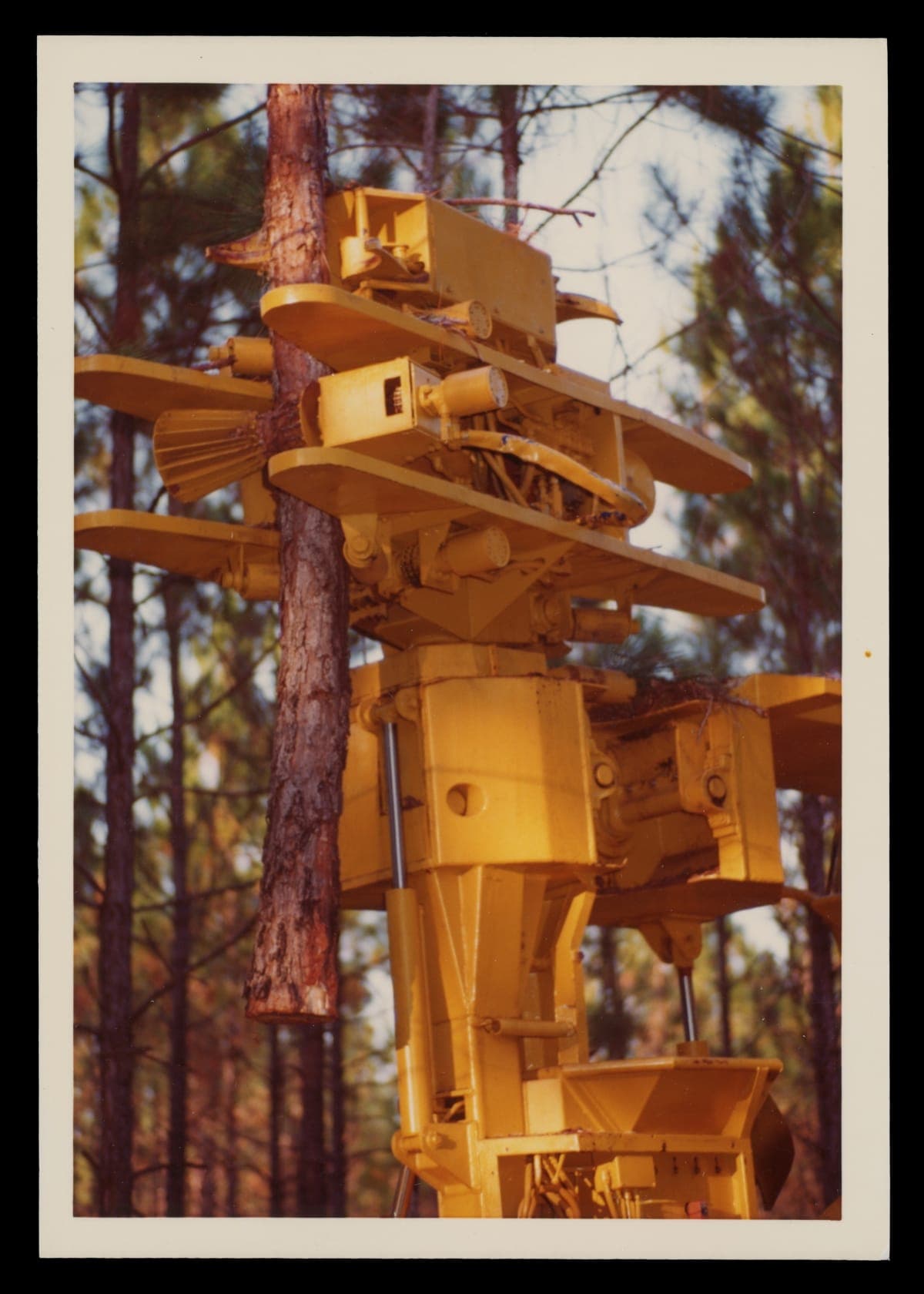 Propst Timber Harvester, 1973-1975
